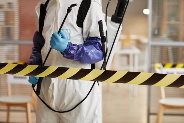 Professional Sewage Cleanup technician working in Palmyra, NJ